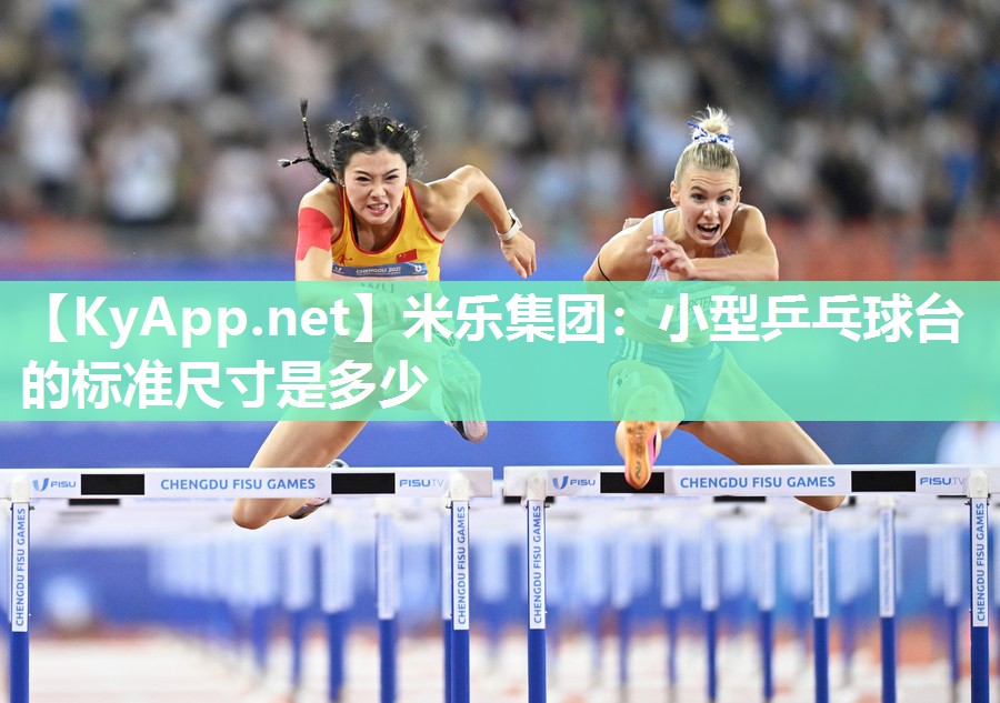 小型乒乓球台的标准尺寸是多少
