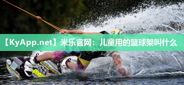 儿童用的篮球架叫什么